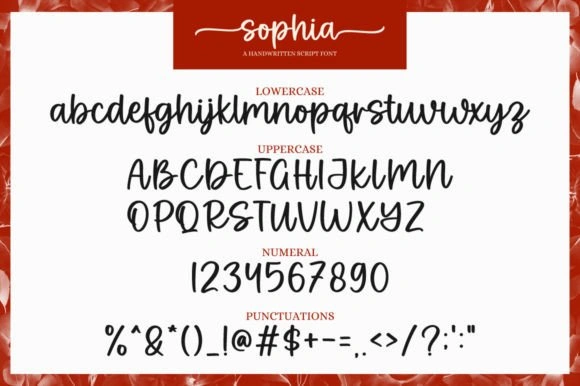 Sophia Font 4