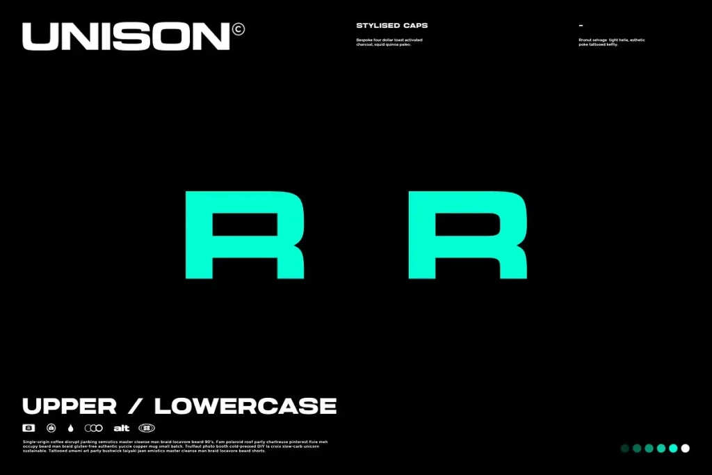 Unison Pro Font View 3