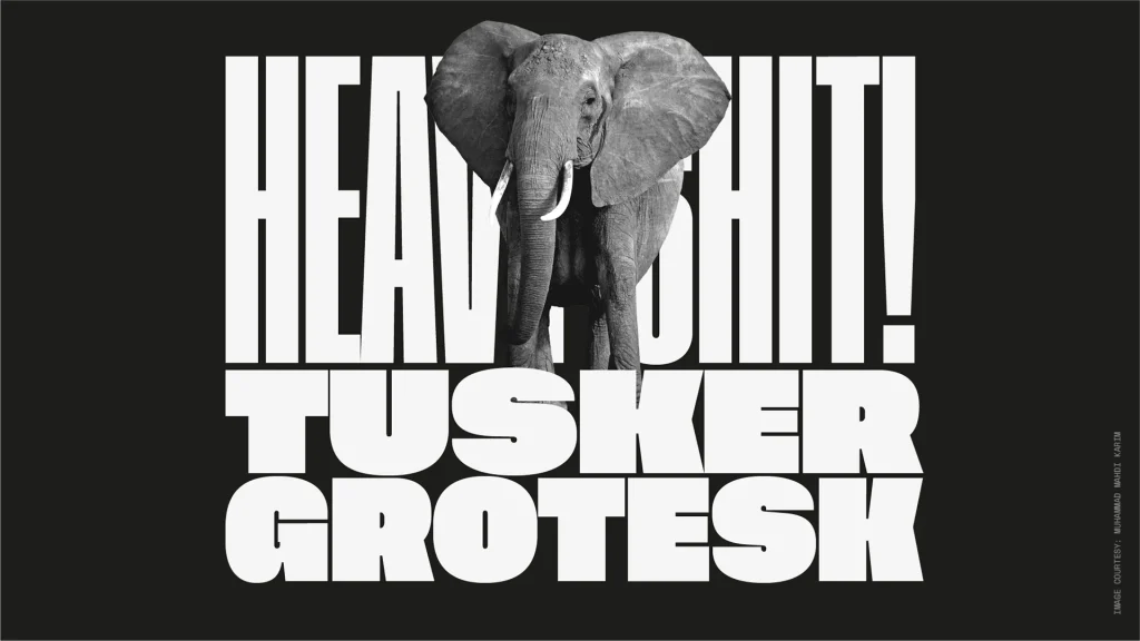 Tusker Grotesk Font