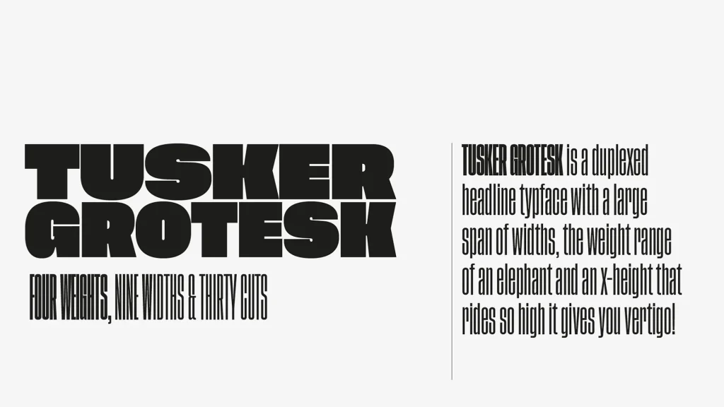 Tusker Grotesk Font View 1