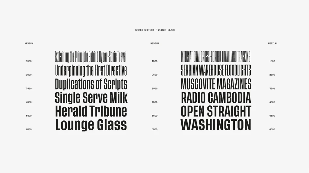 Tusker Grotesk Font View 2