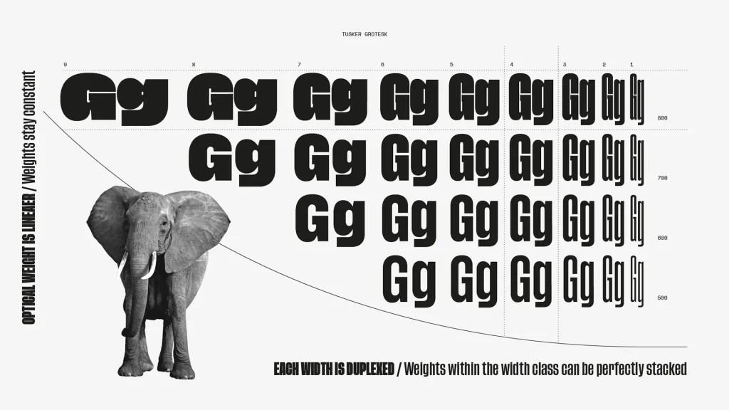 Tusker Grotesk Font View