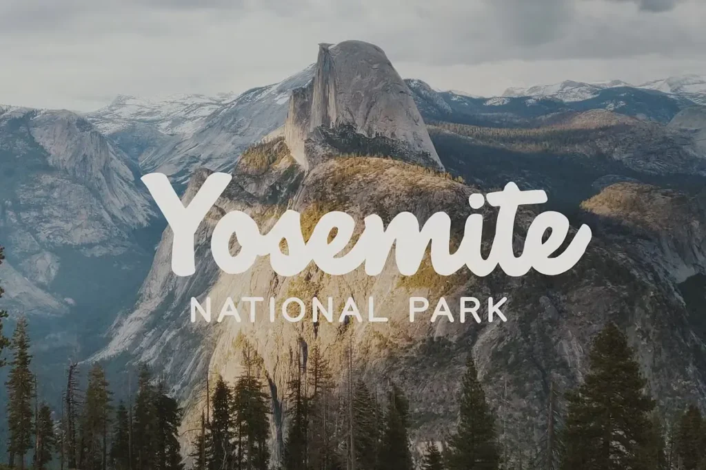 National Forest Font Download 1