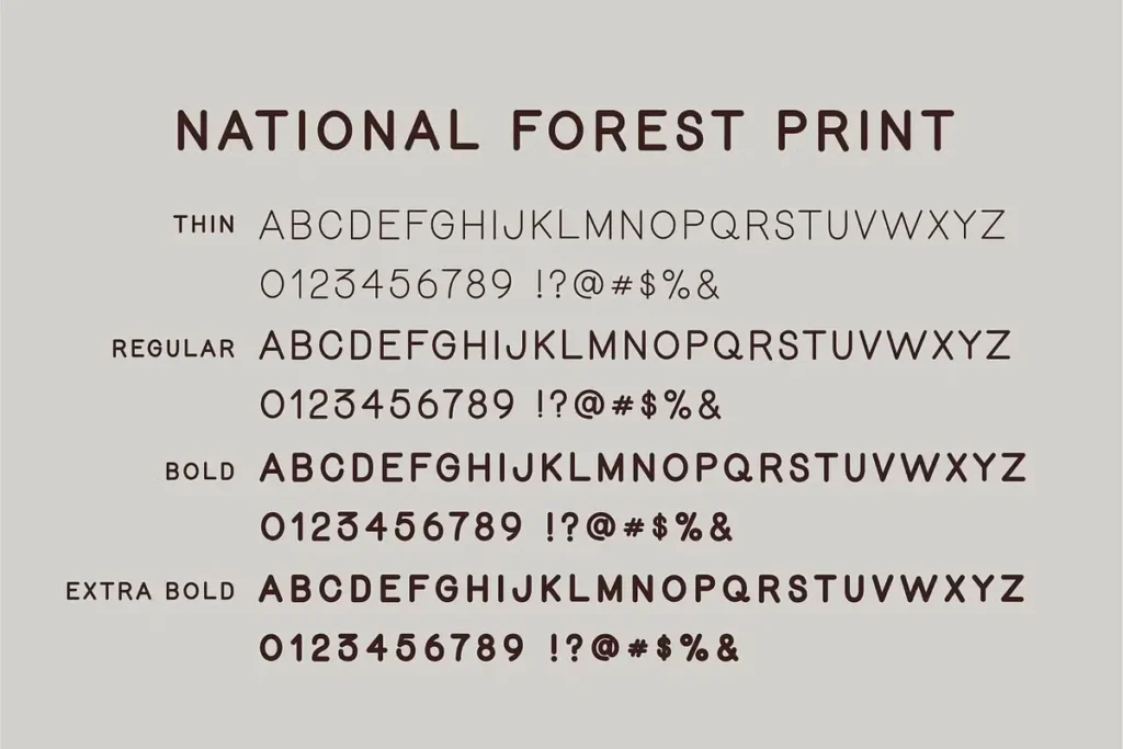 National Forest Font Download 4