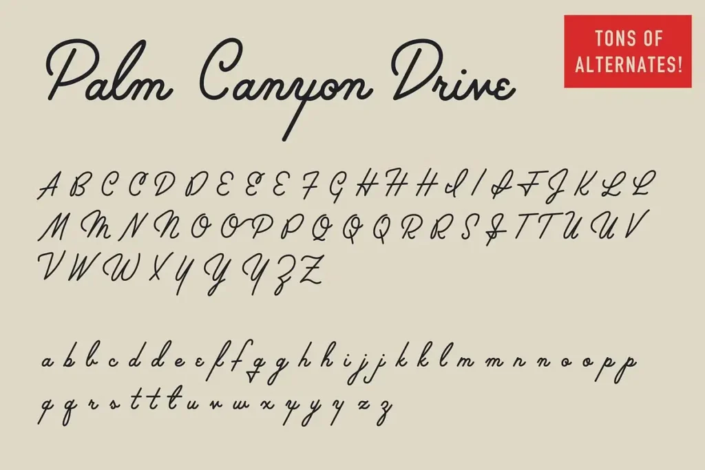 Palm Canyon Drive Font Download 3