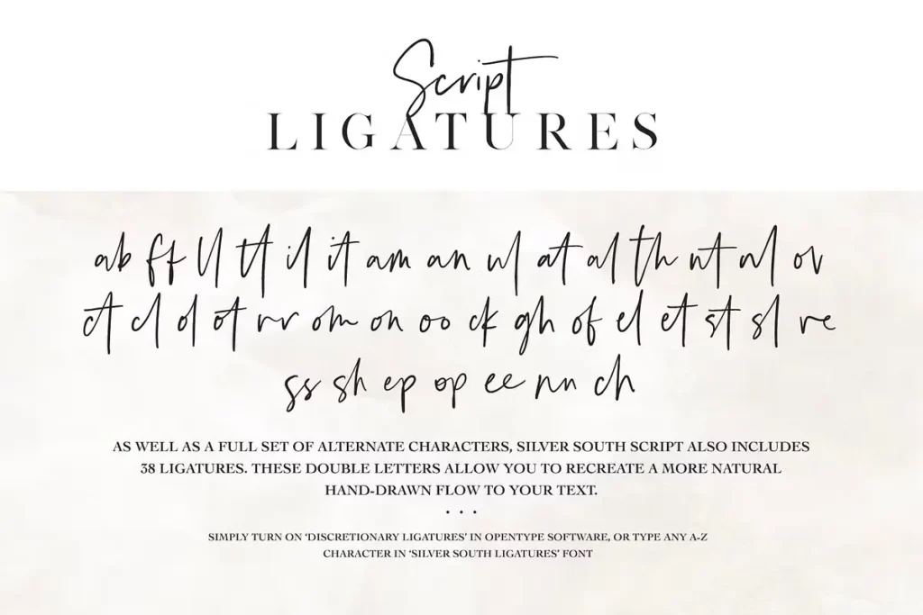 Silver South Font Download 3