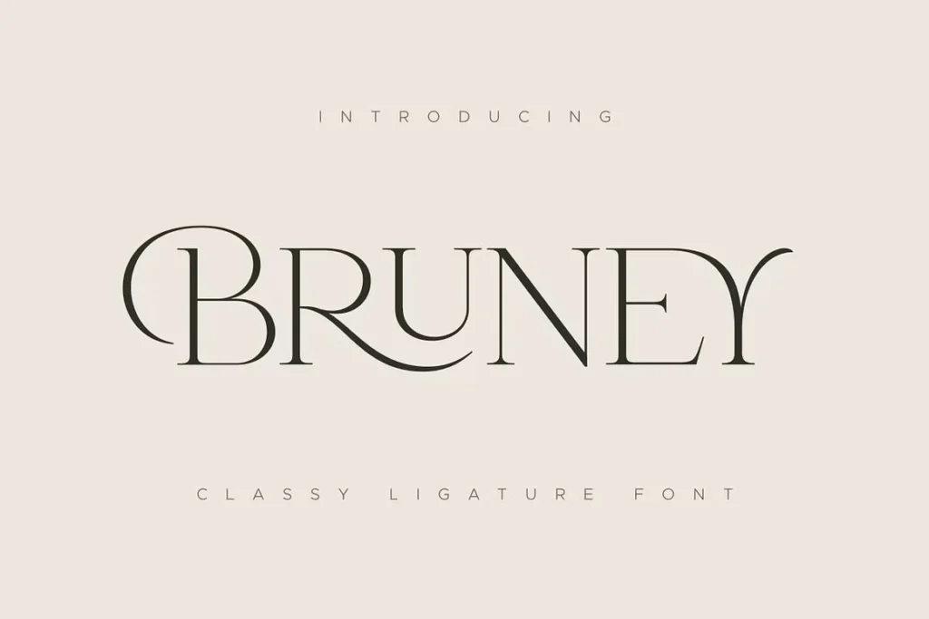Bruney Font Feature