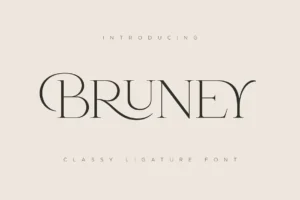 Bruney Font Feature