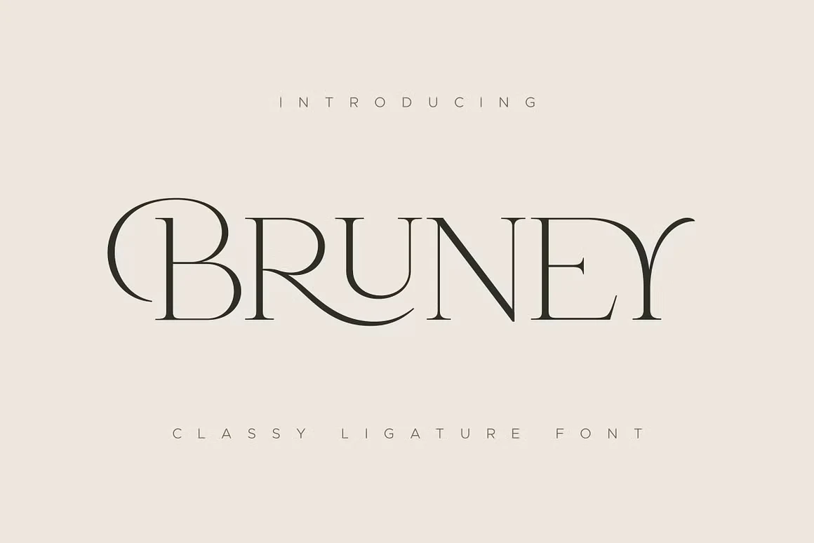 Bruney Font Feature