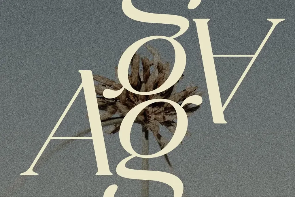 celine font view 4