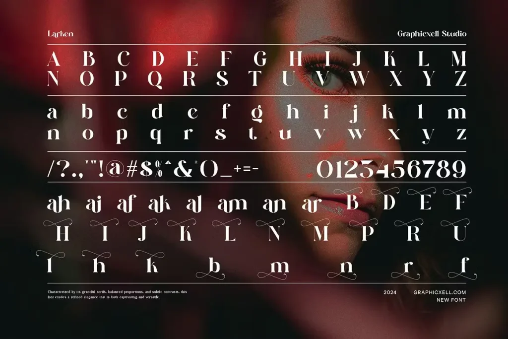 larken font view 4