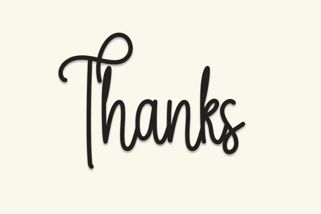 thin script font view 4