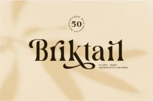Briktail font