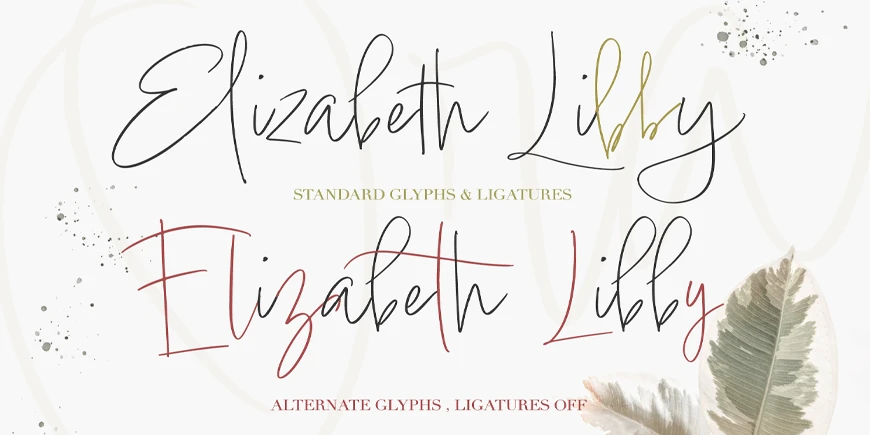 Lindsey Signature Font Download 2