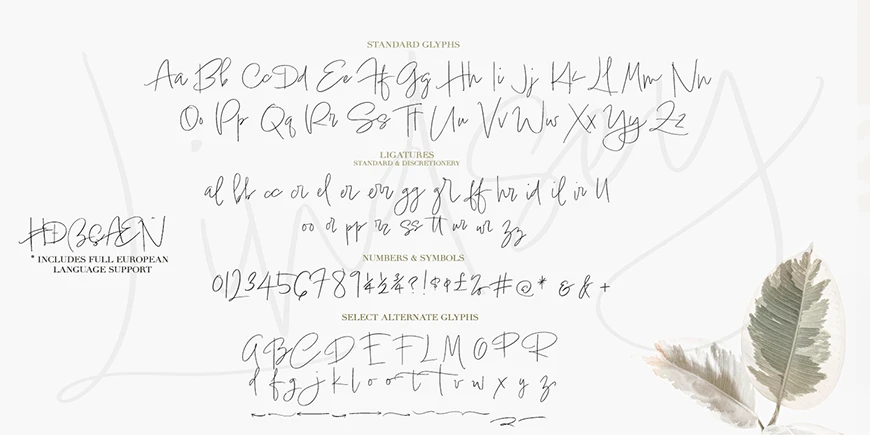 Lindsey Signature Font Download 4