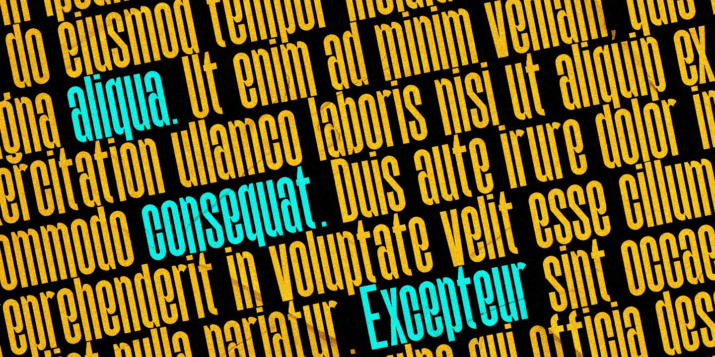 Rolf Font Download 1