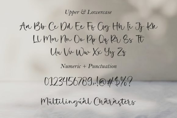 Salvador History Font Free 4
