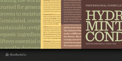 Sentinel Font Free Download 2