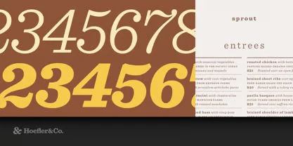 Sentinel Font Free Download 3