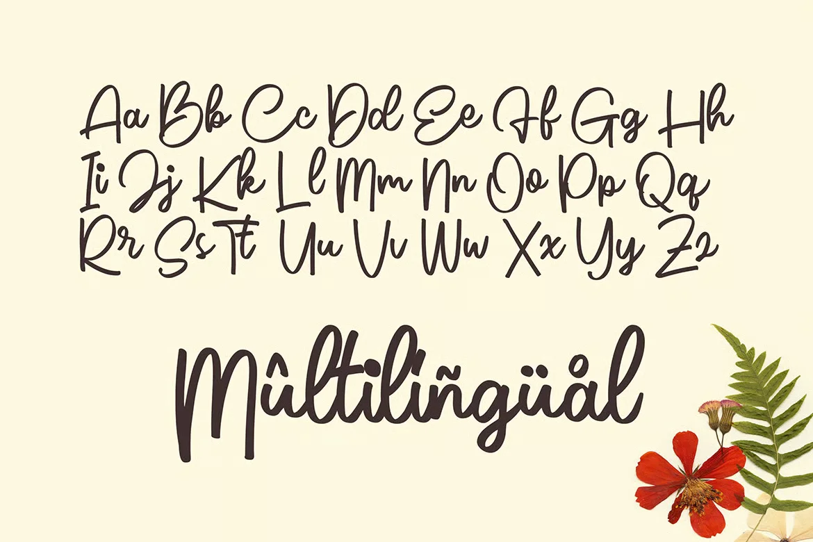 allor script font download 1