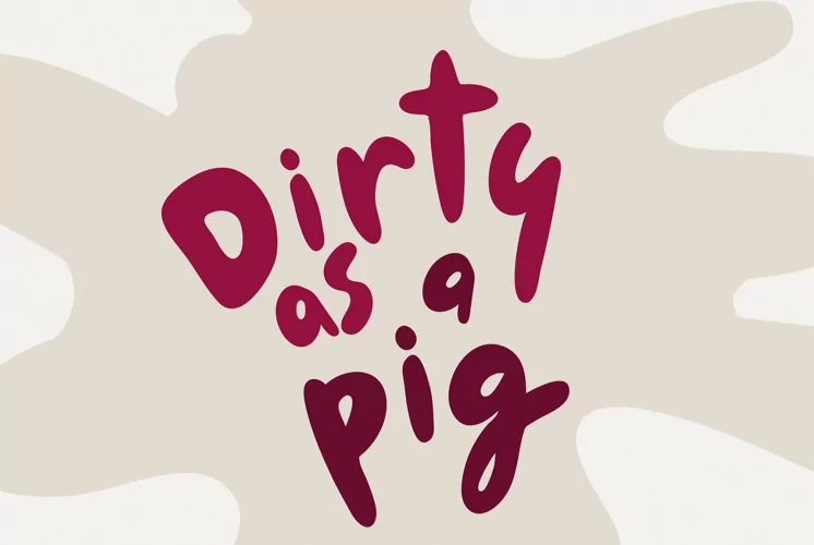 le petit cochon font download 3