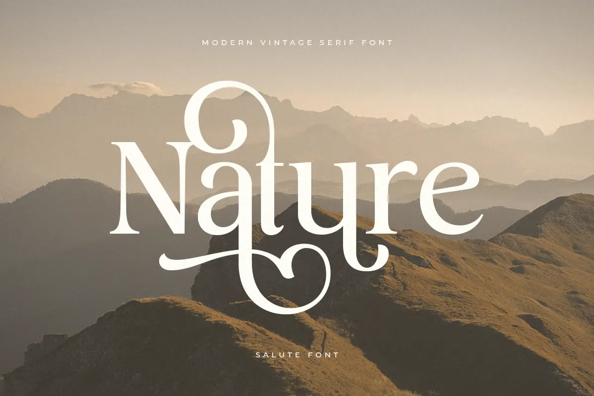 salute font download 3