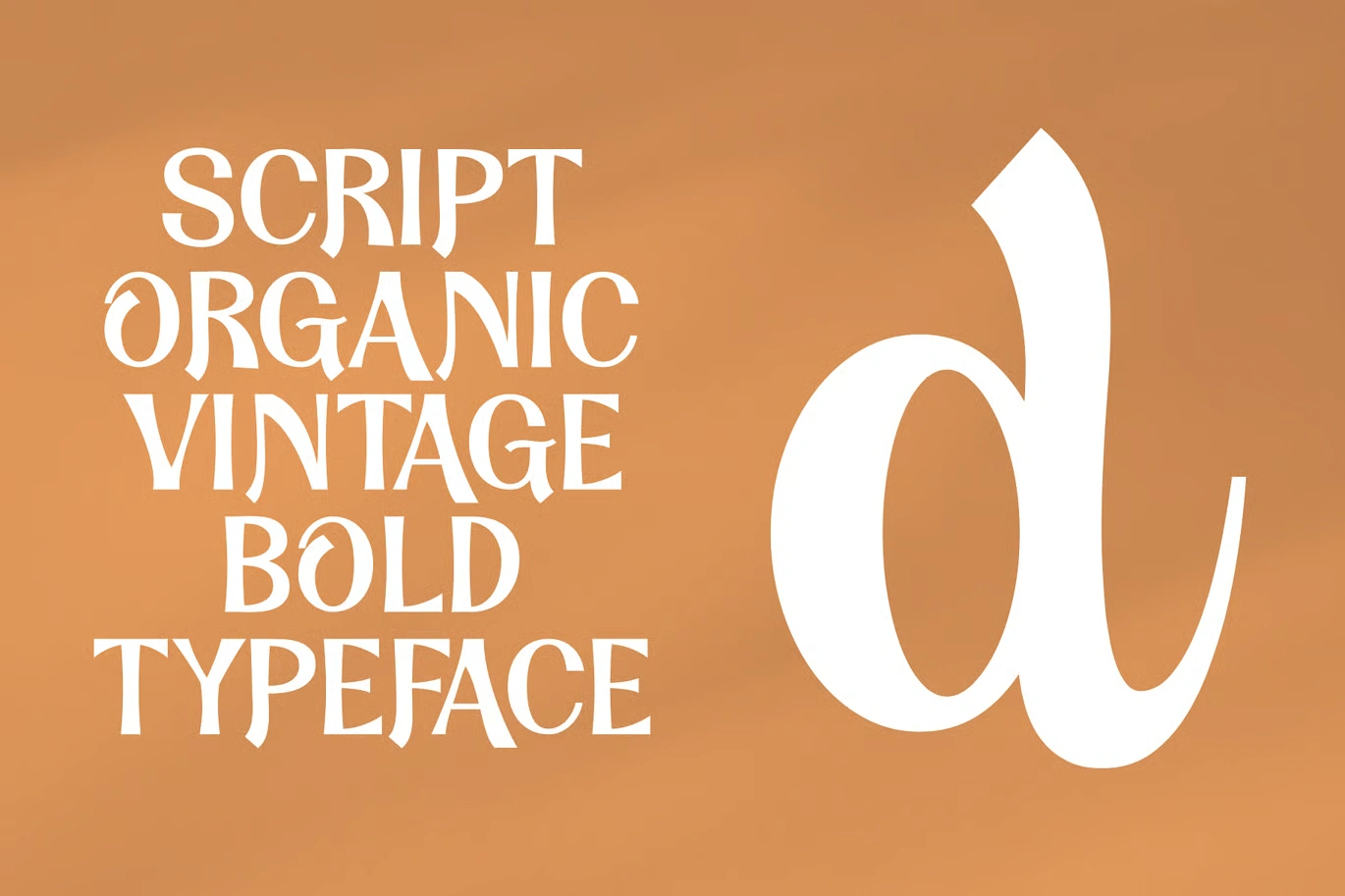 dandy font download 2