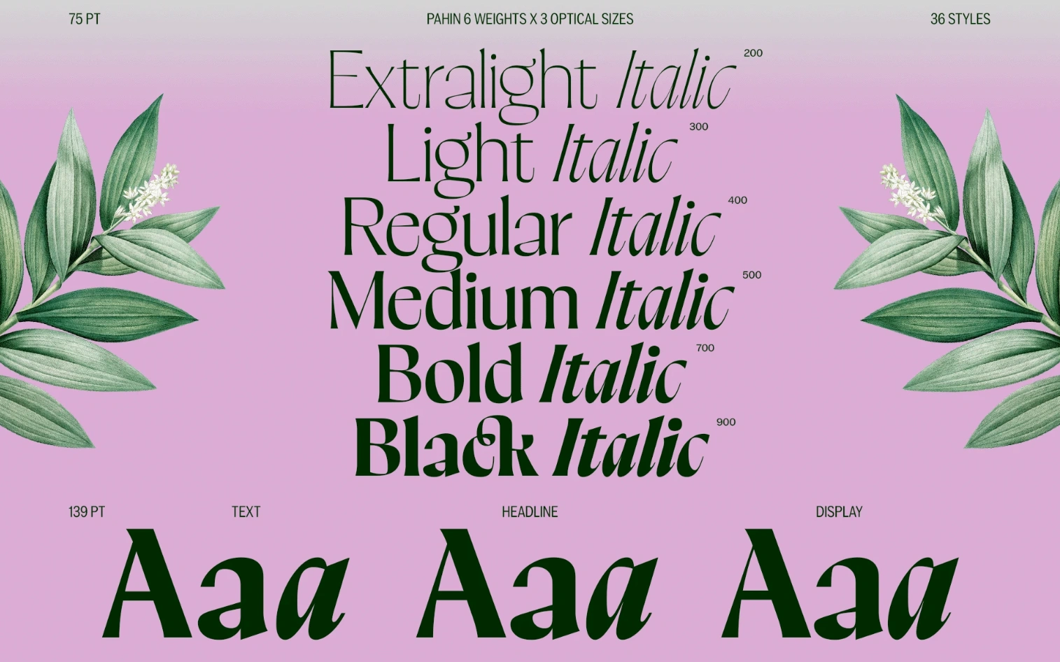 pahin font free font