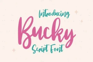 bucky font feature