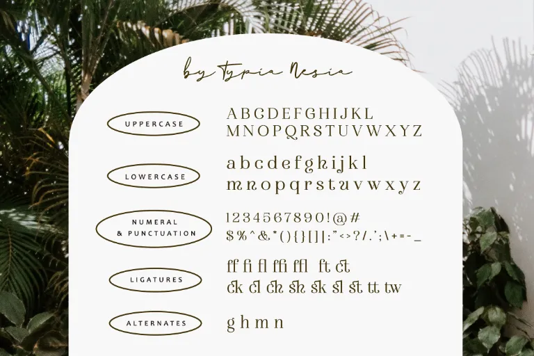 the penguin font view 4